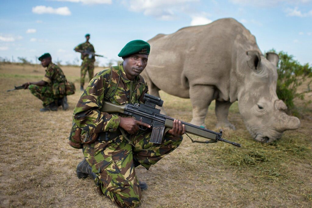 African conservationists argue against animal hunting